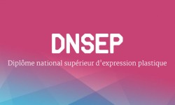 DNSEP - DiplÃ´me national supÃ©rieur d'expression plastique