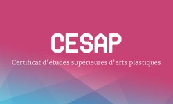 CESAP - Certificat d'Ã©tudes supÃ©rieures d'arts plastiques